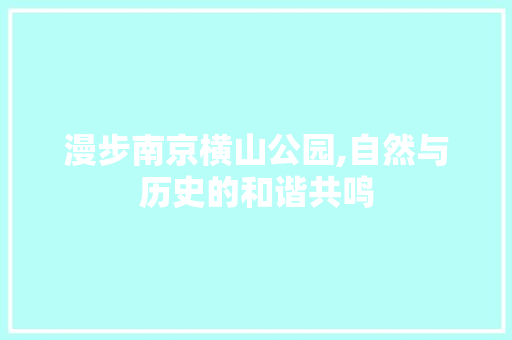 漫步南京横山公园,自然与历史的和谐共鸣