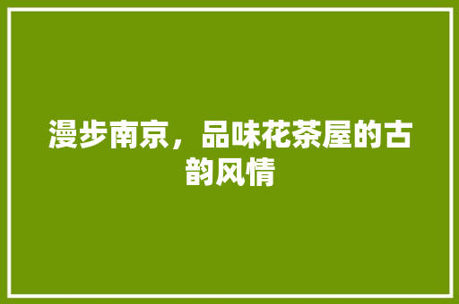 漫步南京，品味花茶屋的古韵风情  第1张