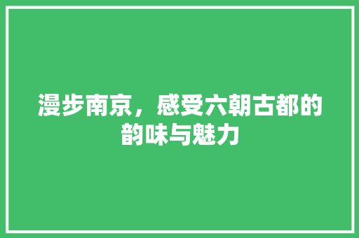 漫步南京，感受六朝古都的韵味与魅力