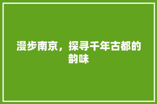 漫步南京，探寻千年古都的韵味