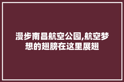 漫步南昌航空公园,航空梦想的翅膀在这里展翅