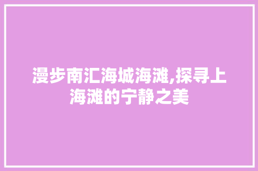 漫步南汇海城海滩,探寻上海滩的宁静之美