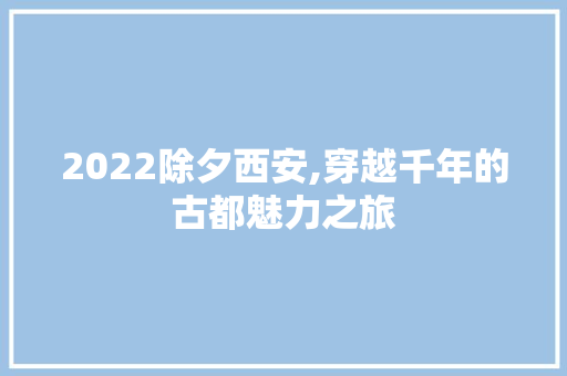 2022除夕西安,穿越千年的古都魅力之旅  第1张