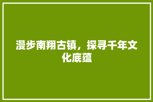 漫步南翔古镇，探寻千年文化底蕴