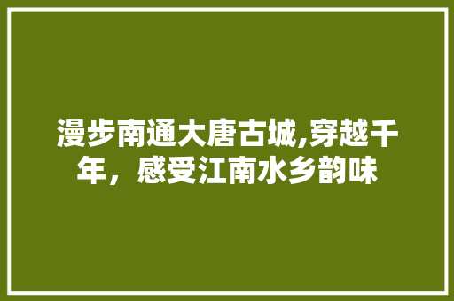 漫步南通大唐古城,穿越千年，感受江南水乡韵味  第1张