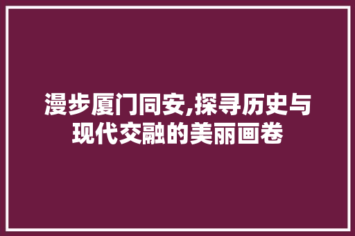 漫步厦门同安,探寻历史与现代交融的美丽画卷