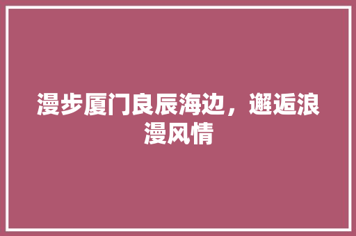 漫步厦门良辰海边，邂逅浪漫风情  第1张