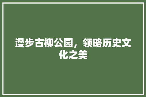 漫步古柳公园，领略历史文化之美