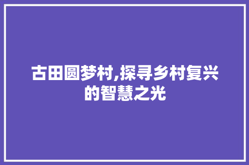 古田圆梦村,探寻乡村复兴的智慧之光