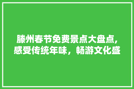 滕州春节免费景点大盘点,感受传统年味，畅游文化盛宴  第1张