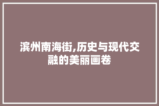 滨州南海街,历史与现代交融的美丽画卷