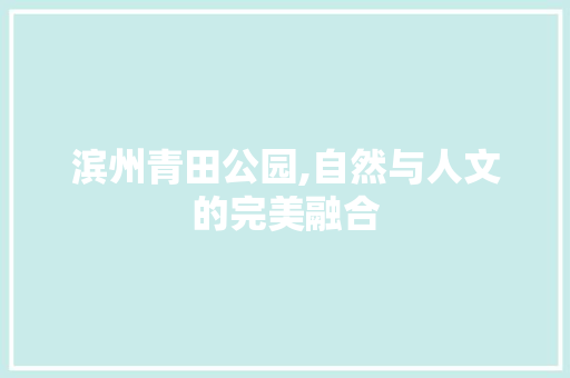 滨州青田公园,自然与人文的完美融合