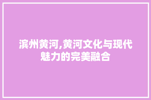 滨州黄河,黄河文化与现代魅力的完美融合