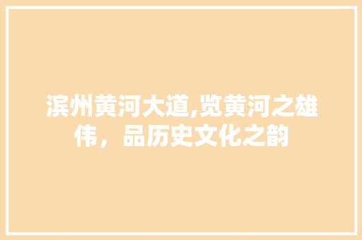 滨州黄河大道,览黄河之雄伟，品历史文化之韵