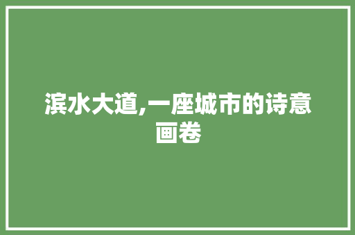 滨水大道,一座城市的诗意画卷