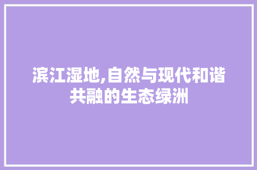 滨江湿地,自然与现代和谐共融的生态绿洲