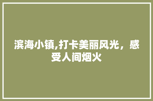 滨海小镇,打卡美丽风光，感受人间烟火  第1张