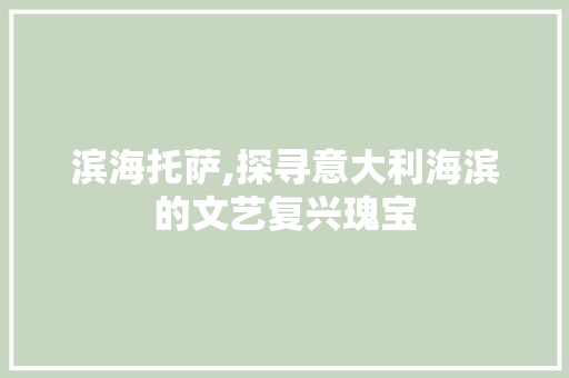 滨海托萨,探寻意大利海滨的文艺复兴瑰宝  第1张