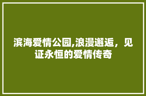 滨海爱情公园,浪漫邂逅，见证永恒的爱情传奇  第1张