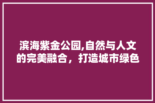 滨海紫金公园,自然与人文的完美融合，打造城市绿色新地标  第1张