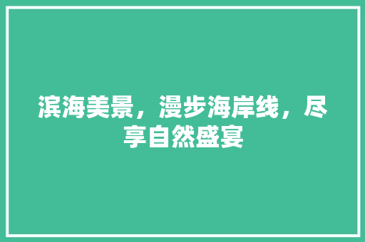 滨海美景，漫步海岸线，尽享自然盛宴