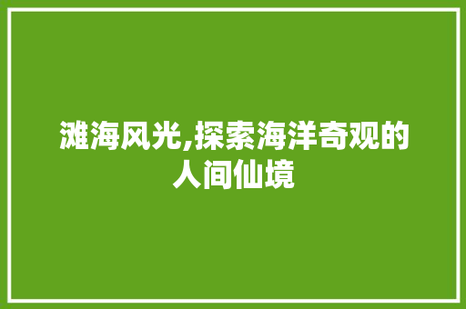 滩海风光,探索海洋奇观的人间仙境