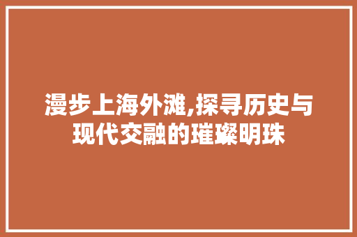 漫步上海外滩,探寻历史与现代交融的璀璨明珠