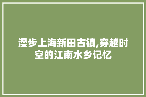 漫步上海新田古镇,穿越时空的江南水乡记忆