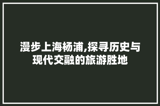 漫步上海杨浦,探寻历史与现代交融的旅游胜地  第1张