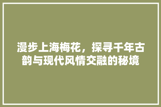 漫步上海梅花，探寻千年古韵与现代风情交融的秘境