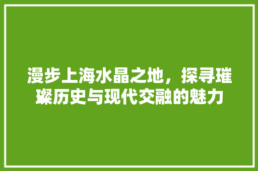 漫步上海水晶之地，探寻璀璨历史与现代交融的魅力