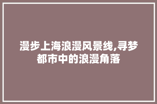 漫步上海浪漫风景线,寻梦都市中的浪漫角落