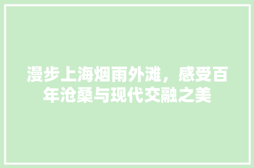 漫步上海烟雨外滩，感受百年沧桑与现代交融之美  第1张