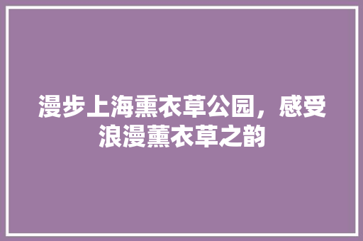 漫步上海熏衣草公园，感受浪漫薰衣草之韵