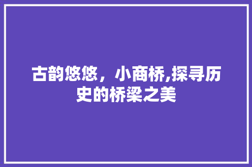 古韵悠悠，小商桥,探寻历史的桥梁之美