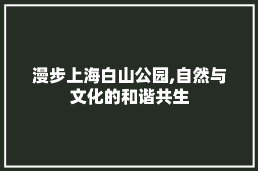 漫步上海白山公园,自然与文化的和谐共生