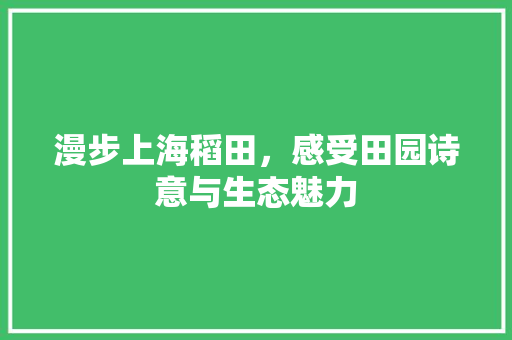 漫步上海稻田，感受田园诗意与生态魅力  第1张