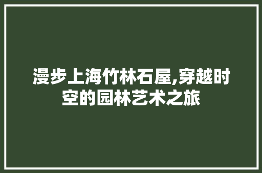 漫步上海竹林石屋,穿越时空的园林艺术之旅  第1张