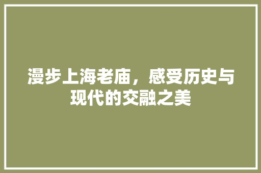 漫步上海老庙，感受历史与现代的交融之美  第1张