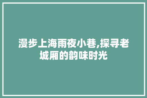 漫步上海雨夜小巷,探寻老城厢的韵味时光