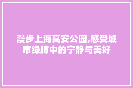 漫步上海高安公园,感受城市绿肺中的宁静与美好