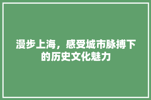 漫步上海，感受城市脉搏下的历史文化魅力