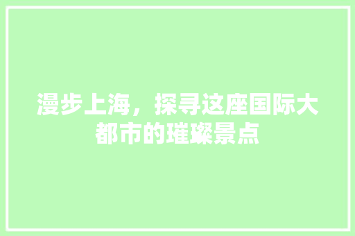 漫步上海，探寻这座国际大都市的璀璨景点