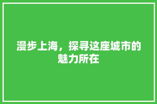 漫步上海，探寻这座城市的魅力所在