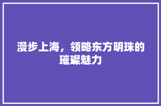 漫步上海，领略东方明珠的璀璨魅力