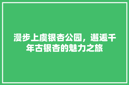 漫步上虞银杏公园，邂逅千年古银杏的魅力之旅  第1张