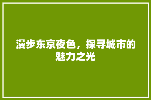 漫步东京夜色，探寻城市的魅力之光