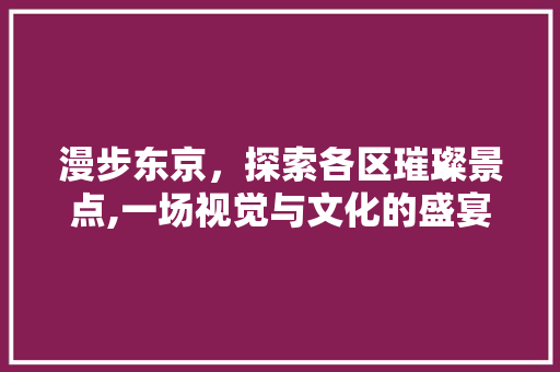 漫步东京，探索各区璀璨景点,一场视觉与文化的盛宴