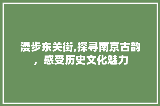 漫步东关街,探寻南京古韵，感受历史文化魅力  第1张