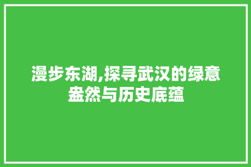 漫步东湖,探寻武汉的绿意盎然与历史底蕴